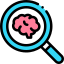 Brain
