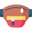 Waist bag
