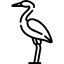 Stork