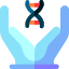 Dna