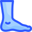 Foot