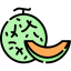 Melon
