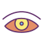 Eye