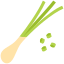 Spring onion