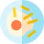 Fried egg