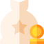 Money bag