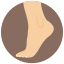Foot