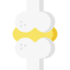 Joint