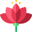 Цветок лотоса