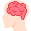 Brain