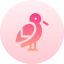 Stork