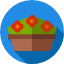 Bushes