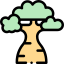Baobab