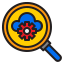 Search