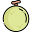 Melon