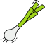 Spring onion