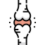 Joint