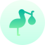 Stork