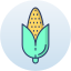 Corn