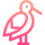 Stork