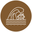 Tsunami