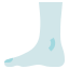 Foot