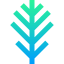 Tropical leaves