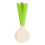 Spring onion