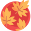 Leaves