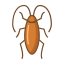 Cockroach