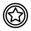 Star brush