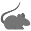 Mice