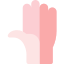Hand