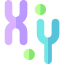 Chromosome