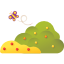 Bush