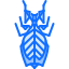 Bug