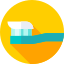 Toothbrush