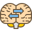 Brain