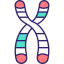 Chromosome