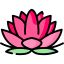 Lotus flower