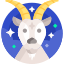 Capricorn