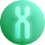Chromosome