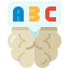 Brain