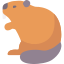 Beaver