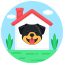 Dog house