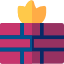 Firewall