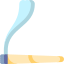 Joint