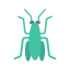 Bug