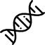 Dna