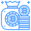 Bitcoin bag